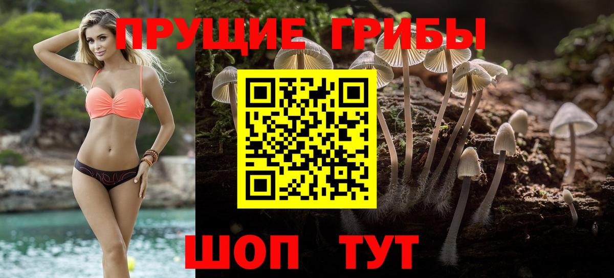Энгельс  Галлюциногенные грибы Cubensis  Галлюциногенные грибы Magic Shrooms  Вход с VPN 
